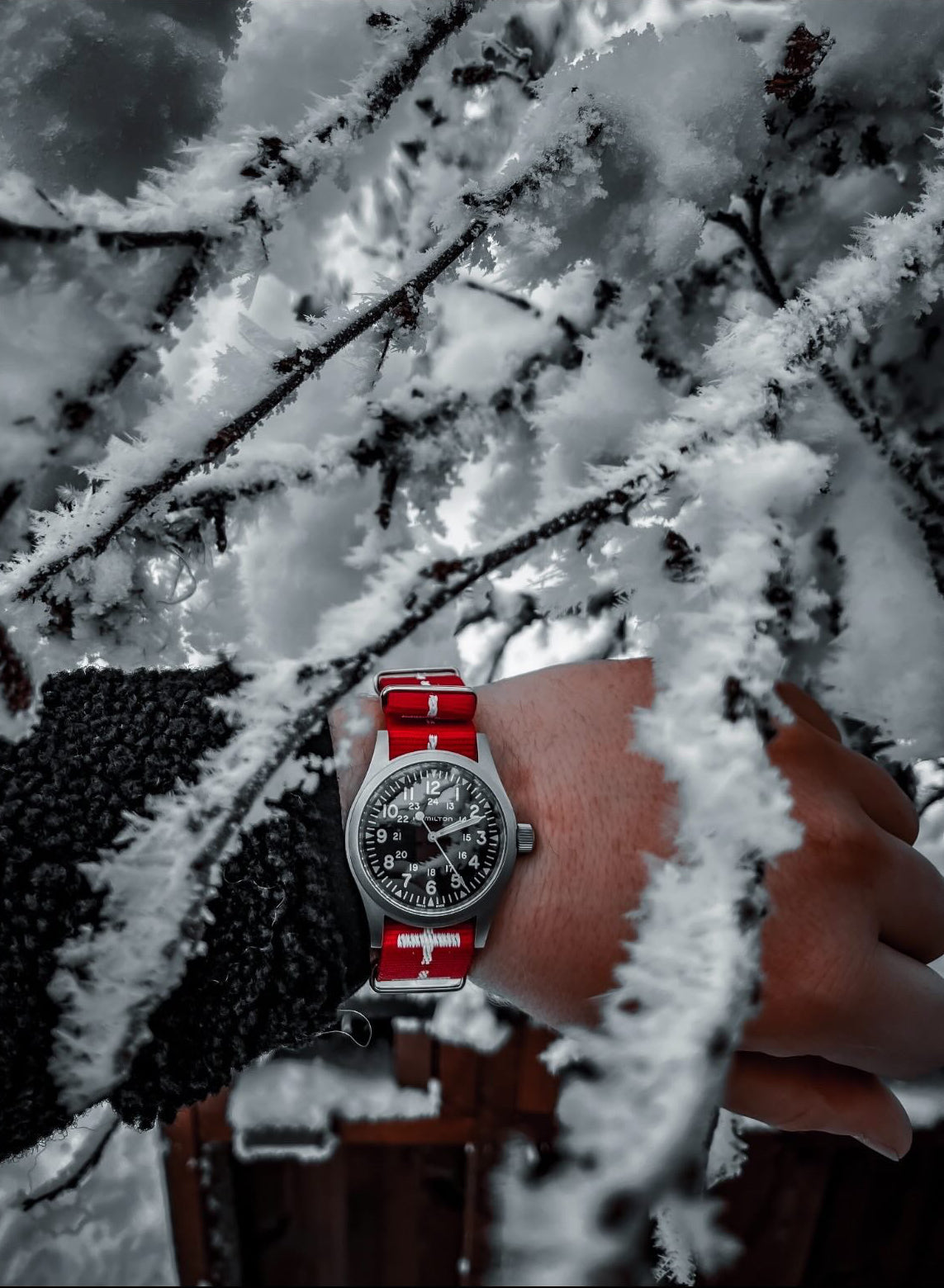 NATO-Armband 20 mm, rot/weiße Kreuze (Schweiz)